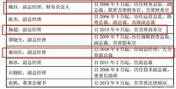 四川长虹重组已成定局|精选解释解析落实