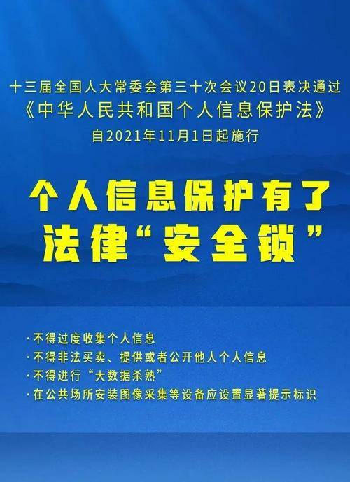 2025新奥精准资料免费大全078期|精选解释解析落实