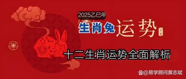 十二生肖与2025年之49个码|精选解释解析落实