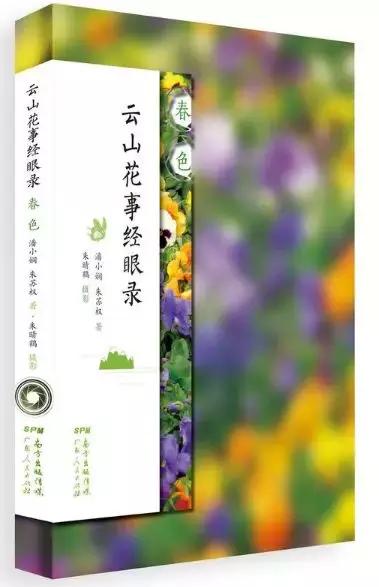 新澳门天天彩正版免费进入方法,新澳门天天彩正版免费进入方法，探索与解析