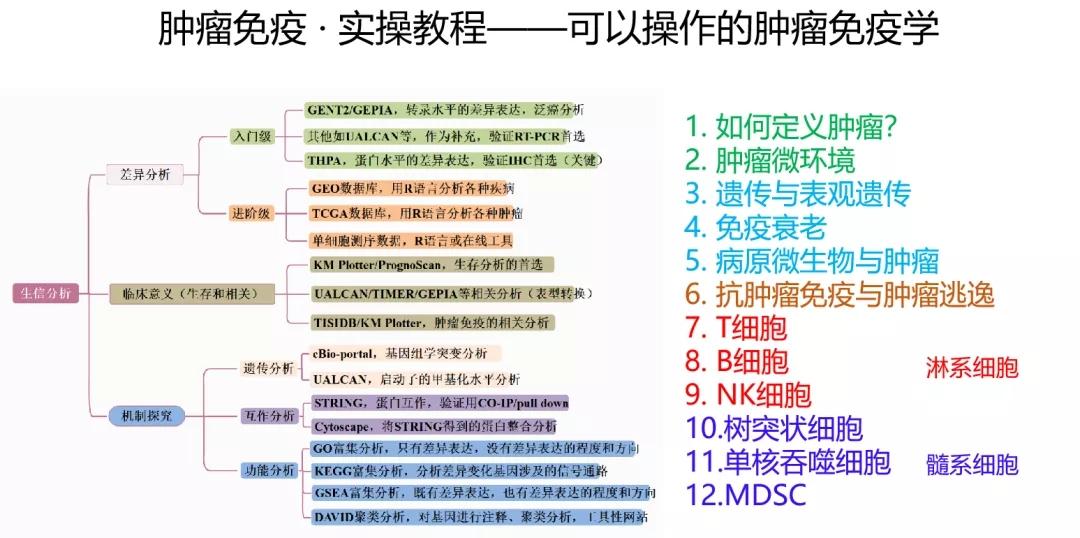 2025澳门正版资料大全,澳门正版资料大全——探索2025年的无限可能