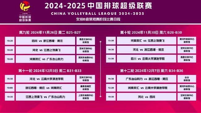 2025新澳天天彩免费资料大全查询,2025新澳天天彩免费资料大全查询指南