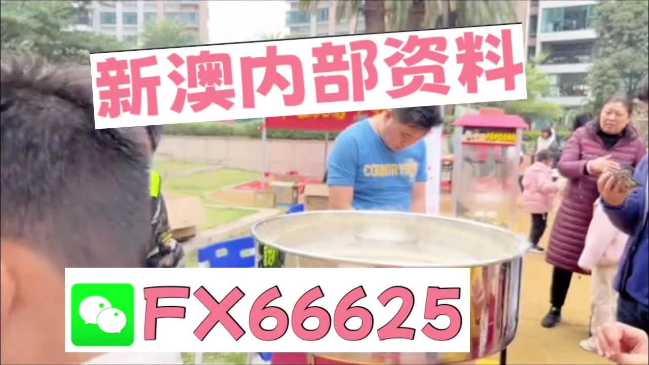 新澳天天开奖资料大全62,新澳天天开奖资料大全，探索数字世界的秘密（62）