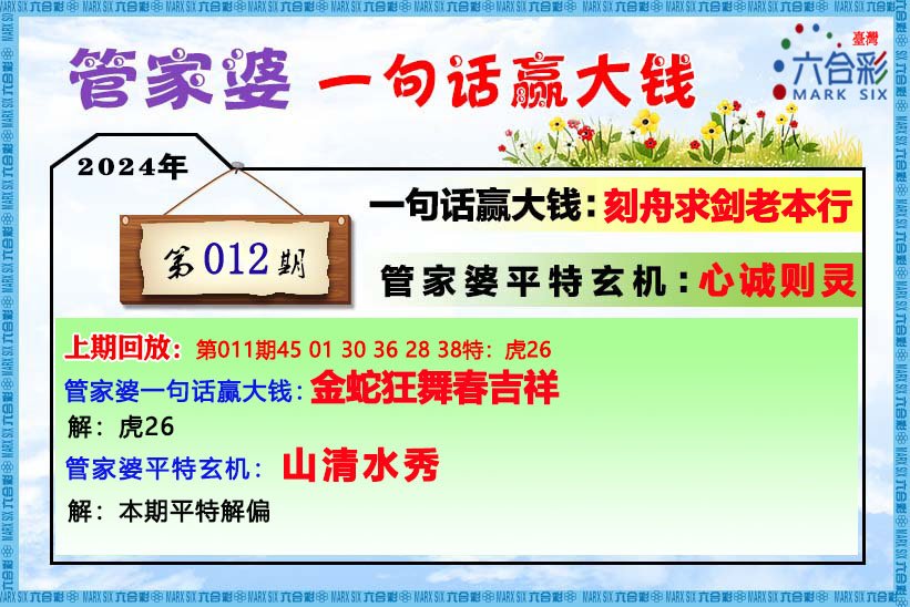 管家婆的资料一肖中特46期|精选解释解析落实