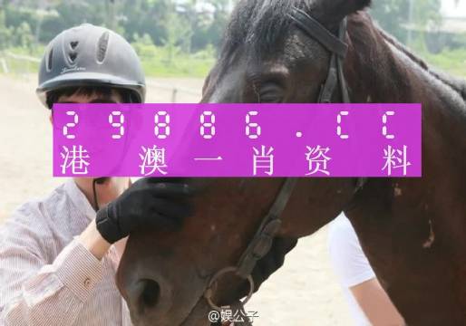 热点 第31页