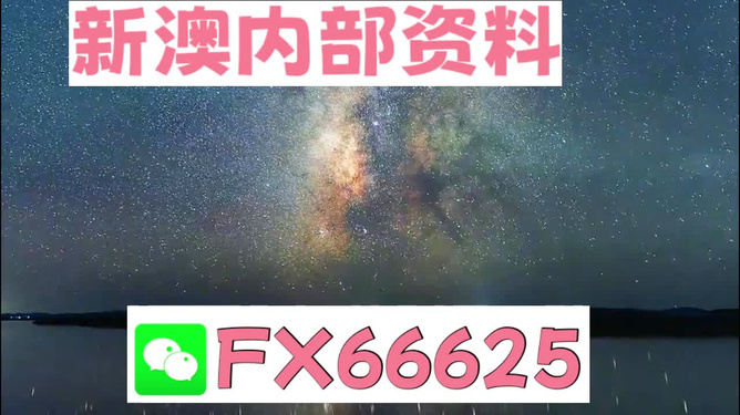 2025年新澳天天开彩最新资料|精选解释解析落实