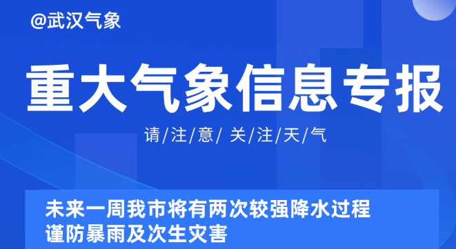 探索未来,2025新奥资料免费精准|精选解释解析落实