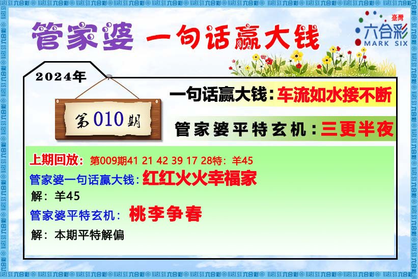 管家婆一码中一肖2025|精选解释解析落实