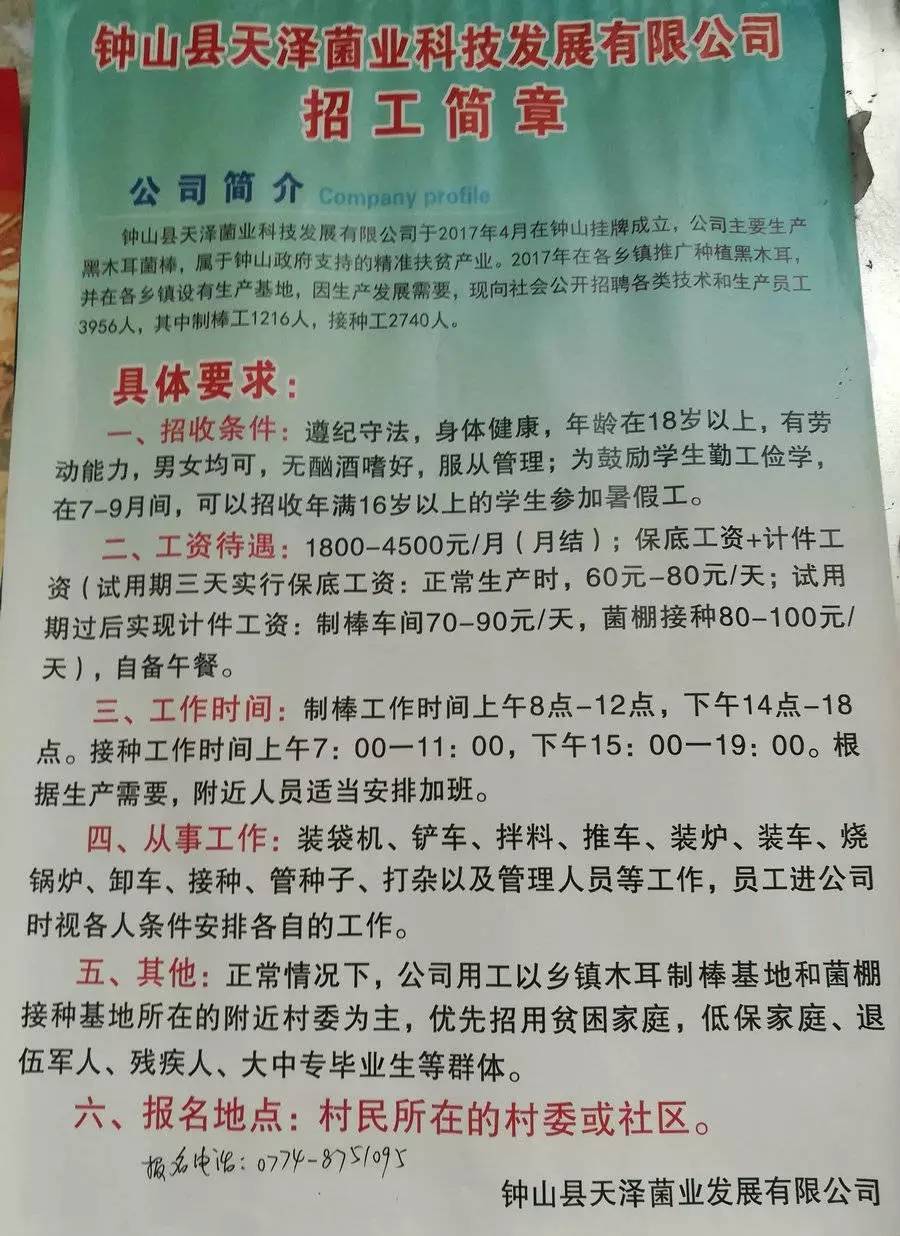 芦台三分厂最新招工