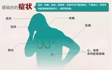 h7n92024年最新消息