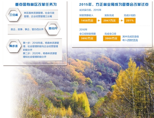 吉林省国有林区改革最新消息