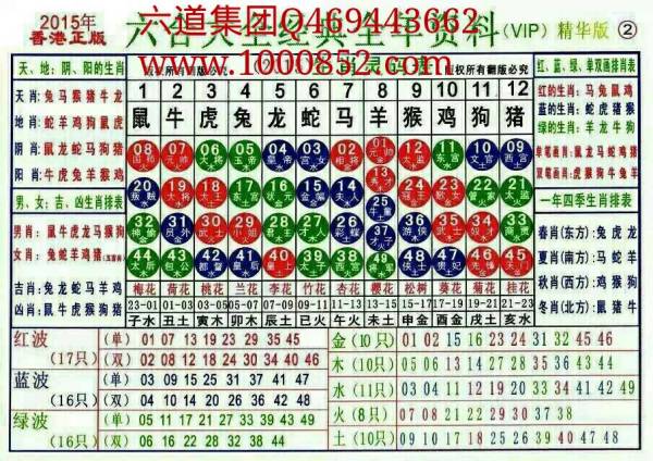 2025十二生肖49码表,揭秘十二生肖与数字49的奇妙联系，一份详尽的2025十二生肖49码表