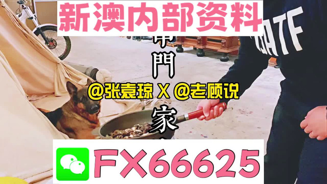 新澳门精准资料大全管家婆料,新澳门精准资料大全与管家婆料，探索与解析