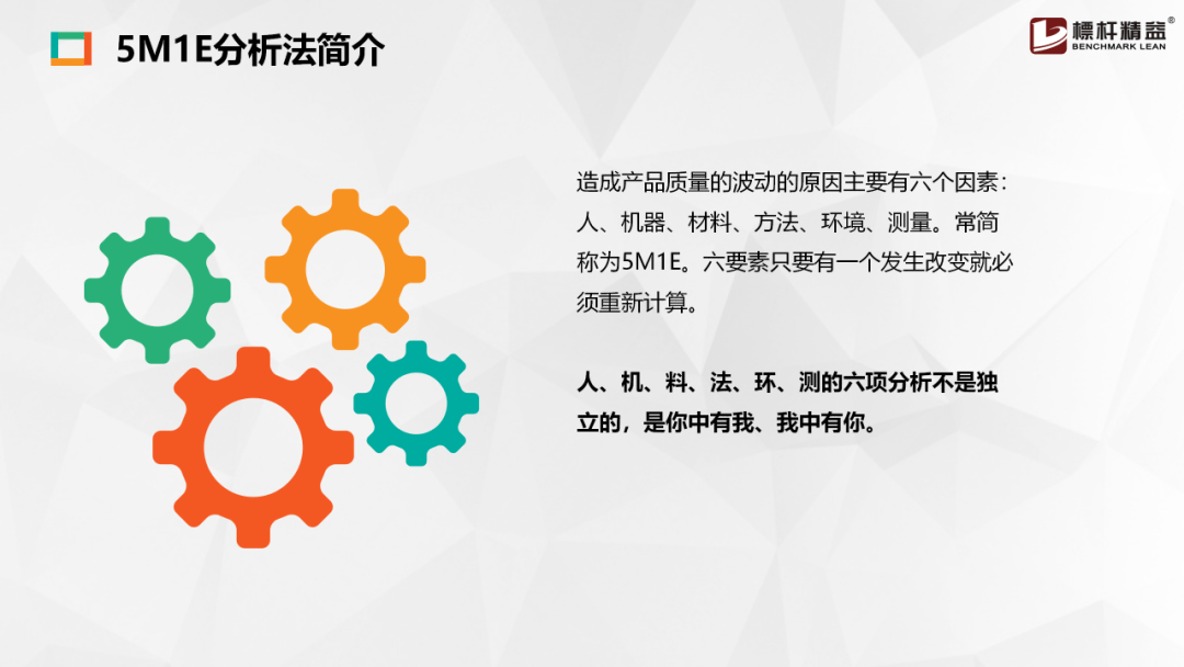 王中王资料大全料大全1,王中王资料大全，深度解析与全面探究