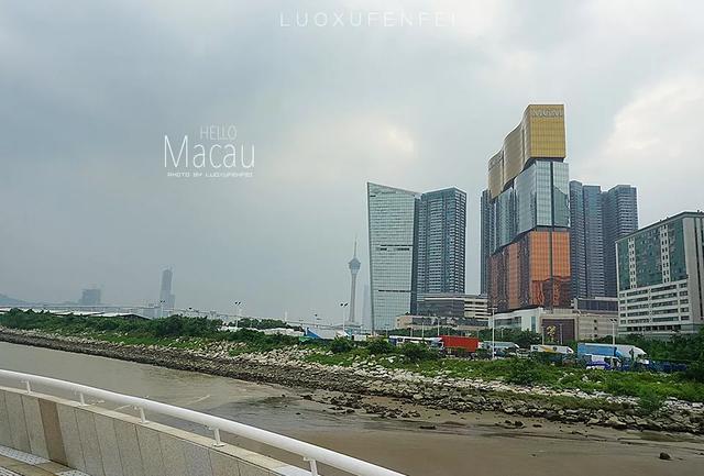 新奥彩综合资料新澳,新奥彩综合资料新澳，探索与前景