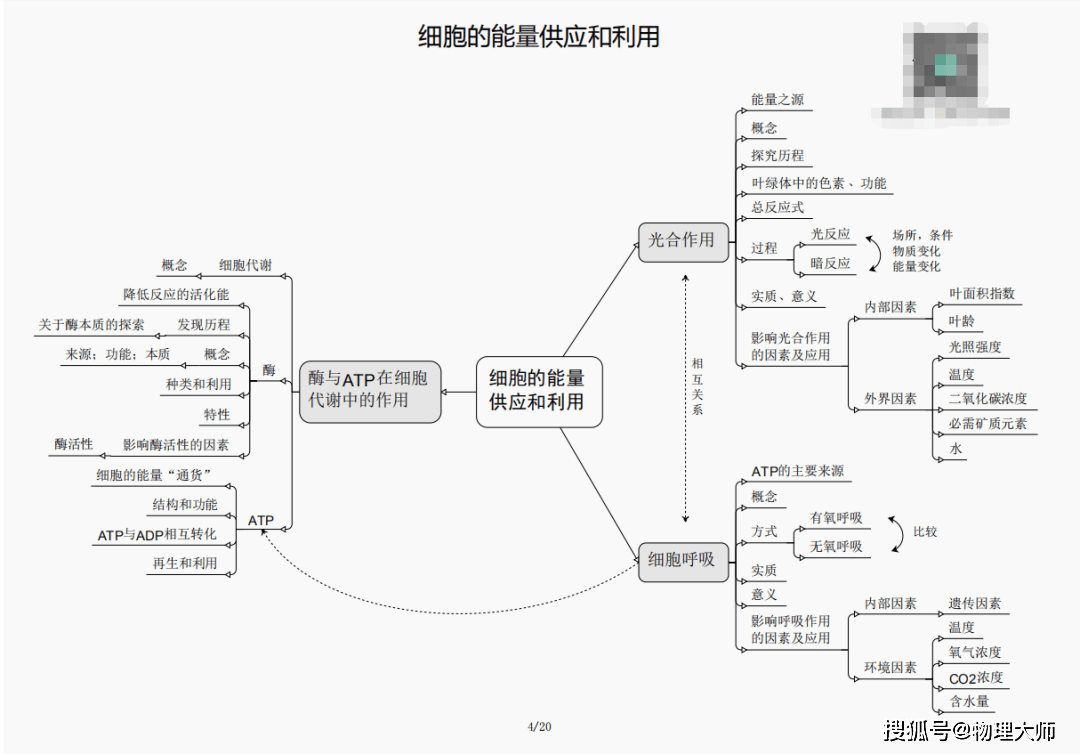 白小姐三肖三期必出一期开奖,白小姐三肖三期必出一期开奖的秘密与解析