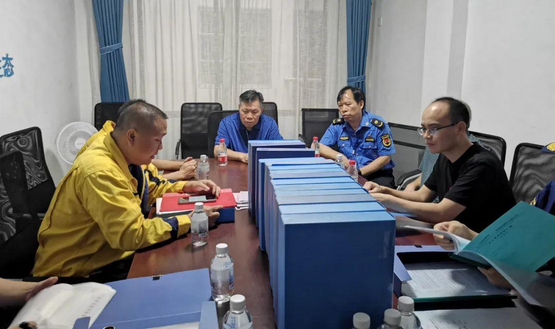 新奥天天免费资料大全正版优势,新奥天天免费资料大全正版优势深度解析