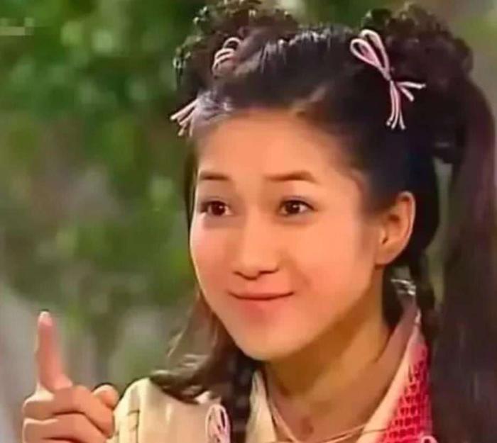 2004年澳门天天开好彩大全,澳门天天开好彩大全——回顾与分析2004年的精彩瞬间