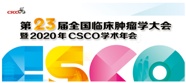 2025新奥官方正版资料免费发放,迎接未来，新奥官方正版资料免费发放行动开启