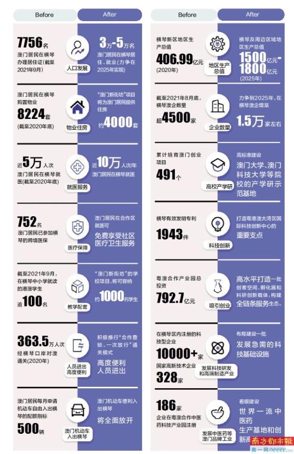 2025年新澳免费资料澳门码,探索未来，2025年新澳免费资料澳门码